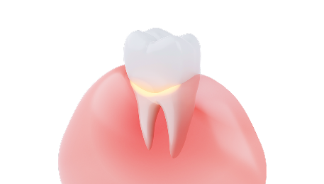 턱관절·잇몸·미백